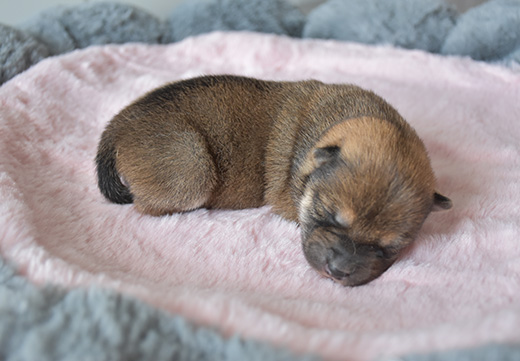 JDB电子(中国区)·官方网站