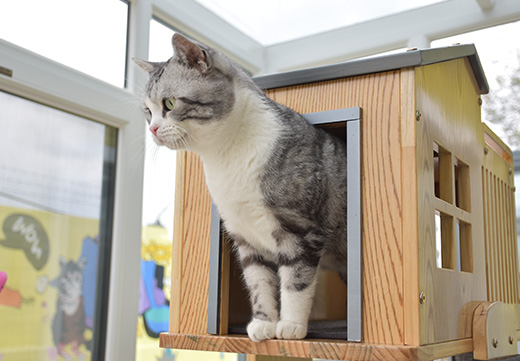 JDB电子(中国区)·官方网站