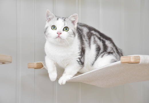 JDB电子(中国区)·官方网站