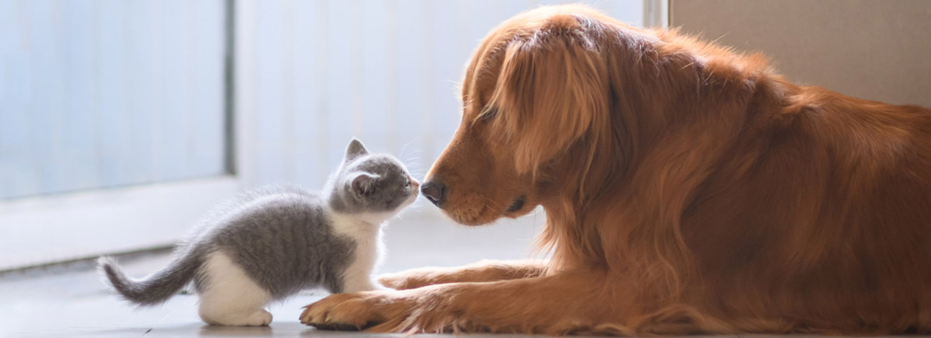 JDB电子(中国区)·官方网站