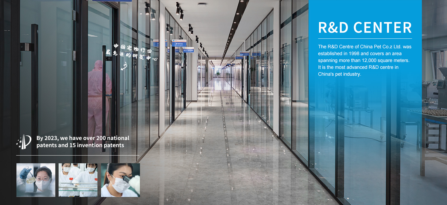 JDB电子(中国区)·官方网站