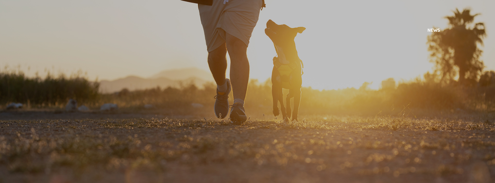 JDB电子(中国区)·官方网站