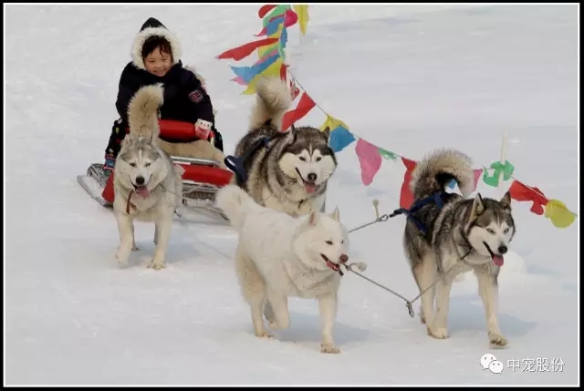 265009162a214f03ae1c2a603593f5c3