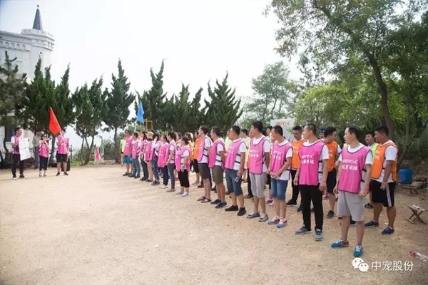 40741e82c9184625803992a8c063dae8