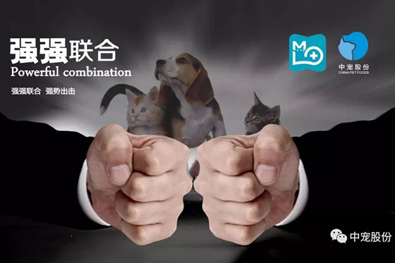 JDB电子(中国区)·官方网站