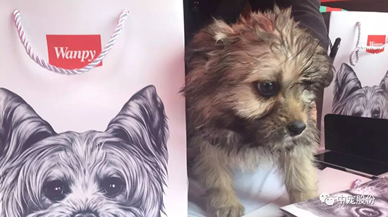 844410c88db44a85b9eef73d610a3928