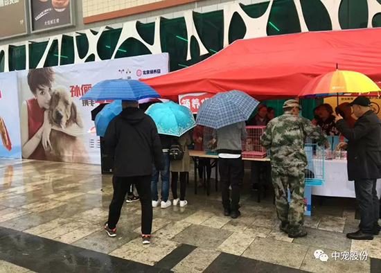 8a4bf54b45364fc0b2456ea67f3b3903