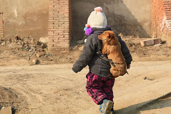 JDB电子(中国区)·官方网站