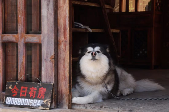 25085c72647b439db24d9029cc3e6544