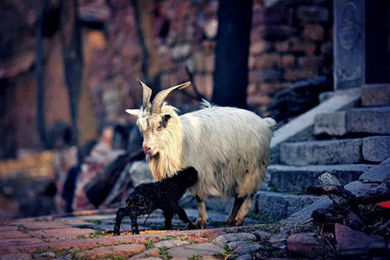 2ee3a1d4660c414a943d1e05d601b0c2