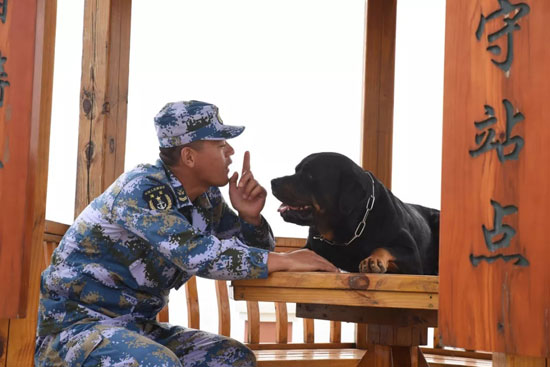 6c501aa9d3df4438bc9e970a64f232fd