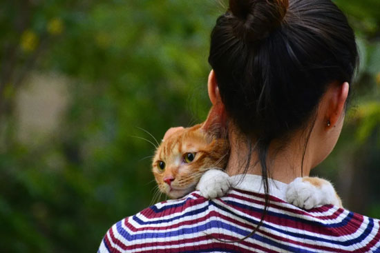 bc74515438364019b87daaedf9a72b8a