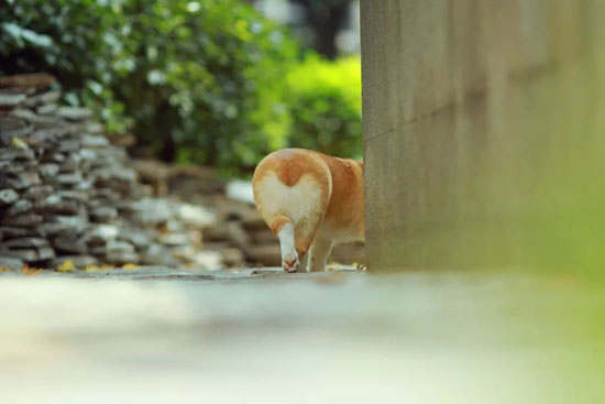 d28e2cfb6a124da3b99a8348ed082daa