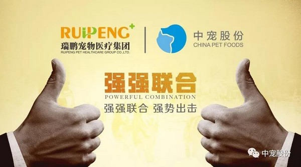 JDB电子(中国区)·官方网站