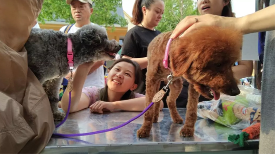 7a04a96cb813400f936db3eacf1c62ff