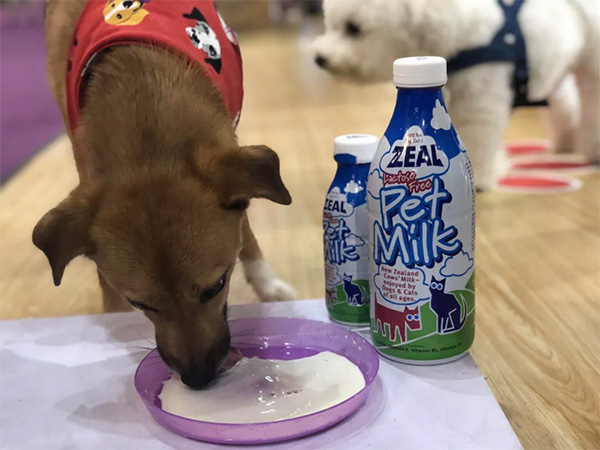 e45f3765306947829bf28a8b15264da8