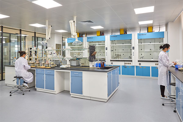 09a33a7100244d55aa98924fc53fde46