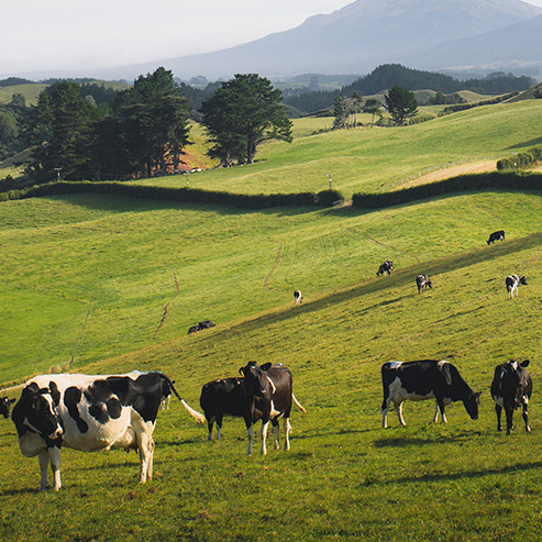 JDB电子(中国区)·官方网站