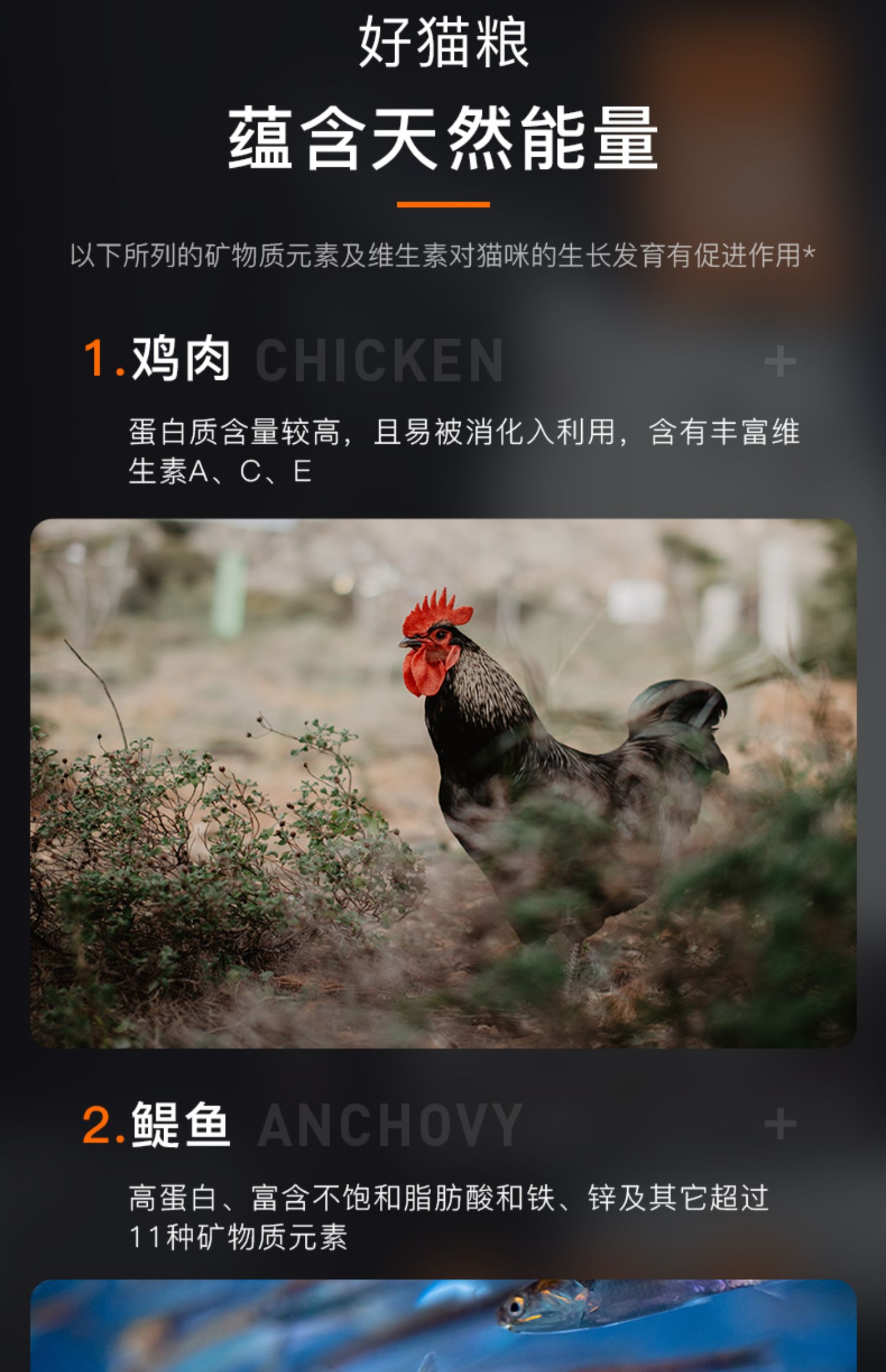 87cdb0eeaa6d45fdb3a582af8c717fc1