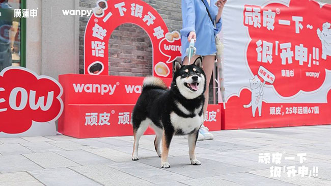 58ebca6cfc474bcf9aff739018a38e94