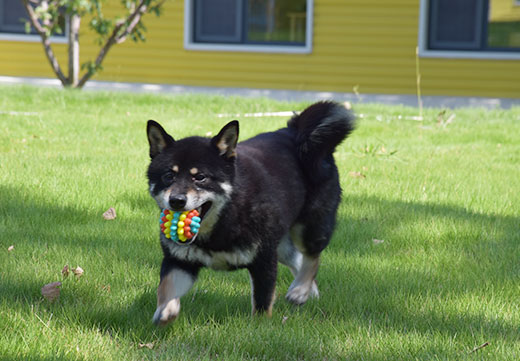 JDB电子(中国区)·官方网站