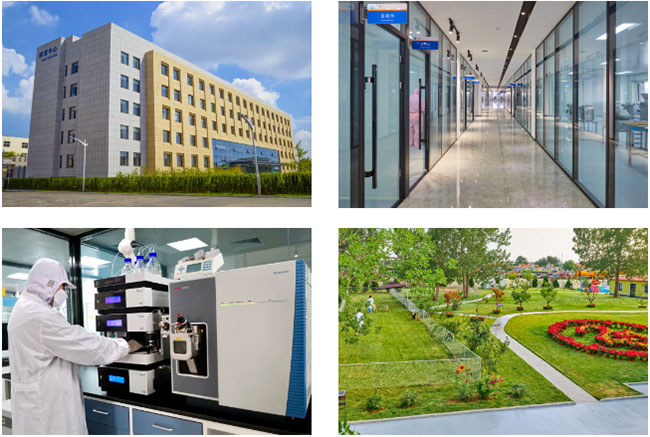 2b07aa965ed8483cb2b65001f7268fa9