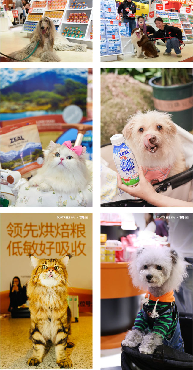 6f29feff319844b9ac3cc4961de77412