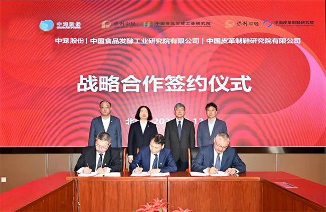 JDB电子(中国区)·官方网站