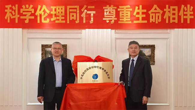 43a3041e461d490a9df266e51489bd04