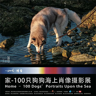 2aeb99c3f90a4292a1e8a8e6182b7649