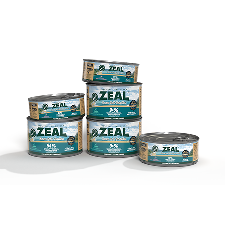 JDB电子(中国区)·官方网站